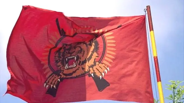 தமிழீழ விடுதலை புலிகள் அமை்பபின் கொடி