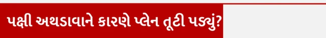 પક્ષી અથડાવાને કારણે દક્ષિણ કોરિયામાં પ્લેન તૂટી પડ્યું હતું? 
