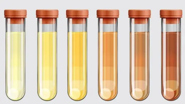 प्रतिकात्मक छायाचित्र