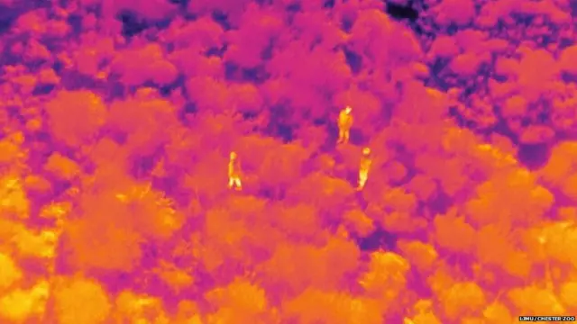 चिड़ियाघर