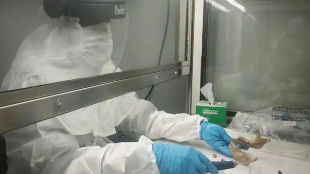 A researcher at work at the ancient DNA lab in Madurai Kamaraj University