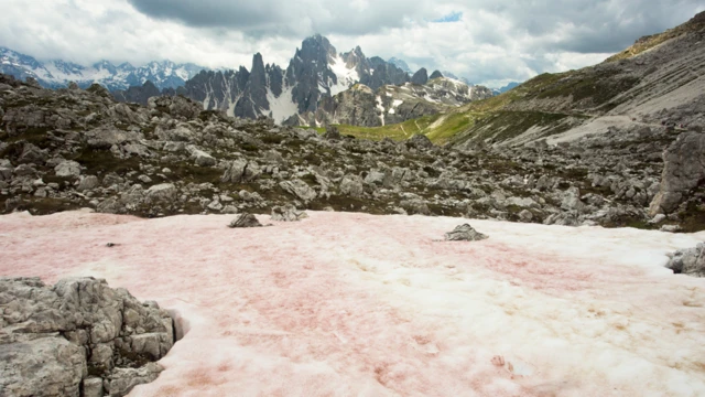 Nieve rosada en montañas de Las Dolomitas