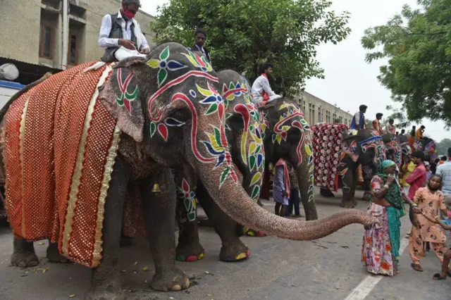 બીબીસી ગુજરાતી હાથી ગજરાત અમદાવાદ રથયાત્રા જગન્નાથ મંદિર