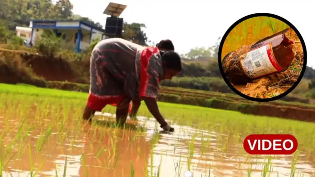 అరకు, విశాఖపట్నం