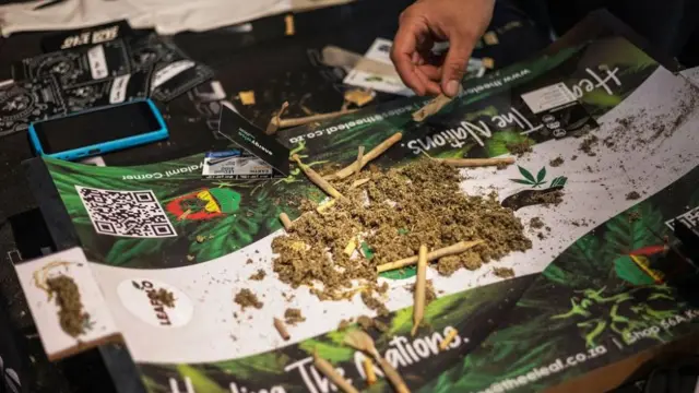 'மூன்று உலகையும் வென்ற' பயிரை, ஏற்றுமதி செய்ய இலங்கையில் யோசனை