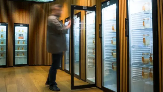 Puratos centar za ukus hleba u Belgiji je jedina svetska biblioteka kiselog testa