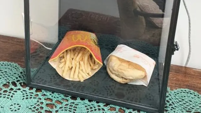 The meal frequently receives visitors in its home in a glass cabinet in southern Iceland