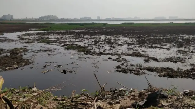 على مدار سنوات طويلة، تعرضت مناطق الأهوار المتبقية في تشيناي إلى تعديات، كما تلوثت جراء إلقاء النفايات فيها
