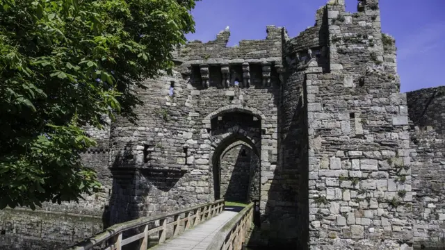 Castillo Beaumaris