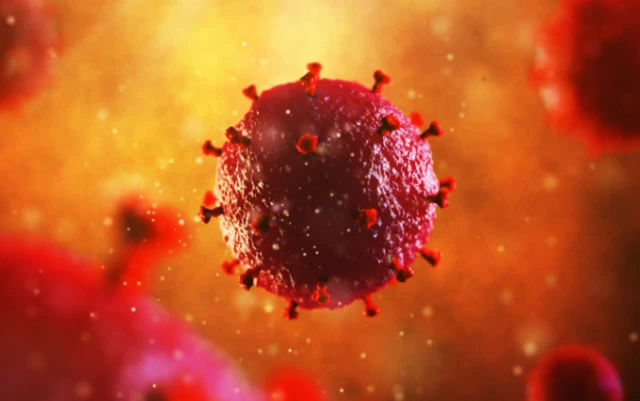 ภาพจำลองเชื้อไวรัสเอชไอวี