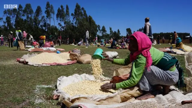 Gabaa Magaalaa Garba Gurraachaa