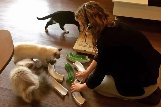 "Кафе Китти" в Ноттингеме