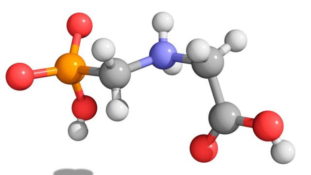 รูปแบบองค์ประกอบโมเลกุลของไกลโฟเซต