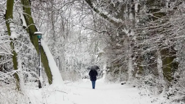 Самотність