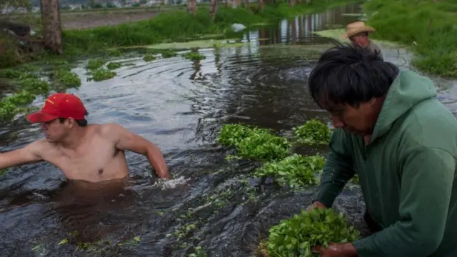 بعض السكان ينظفون إحدى القنوات المائية