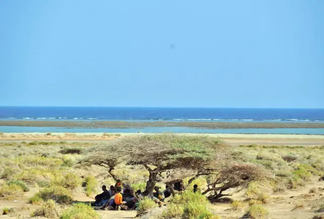 Godaantota Naannoo Oromiyaarraa dhufanii Yamanitti ce'uf kaaba Jibuutiitti dallaalaa eegaa jiran