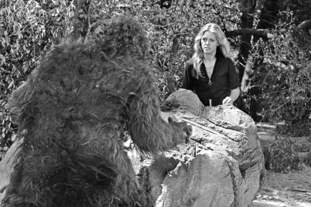 Czarno-białe zdjęcie z filmu „The Bionic Woman” „Powrót Wielkiej Stopy, część II” – sezon drugi – 22.09.1976. Jaime (Lindsay Wagner) stoi za dużą skałą oddzielającą ją od Wielkiej Stopy. Ma długie blond włosy, niebieskie oczy i wpatruje się w Wielką Stopę. Na pierwszym planie widać tył wielkiego, włochatego, małpokształtnego stworzenia, które jest Wielką Stopą.