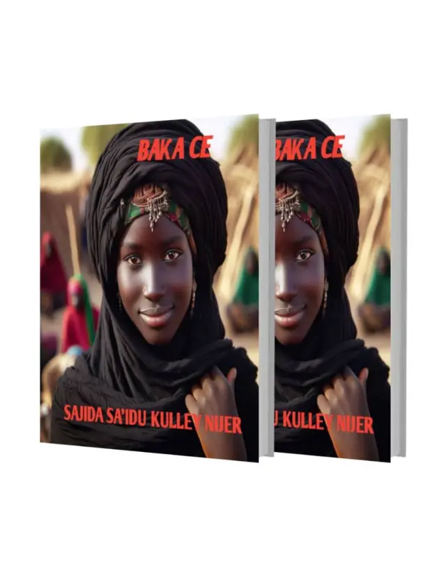 Hausa Novel writer