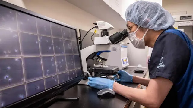 Image de laboratoire