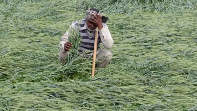 शेतकरी (संग्रहित छायाचित्र)