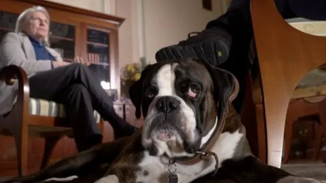 قاطع ونستون تشرشل مقابلة صاحبته مع بي بي سي