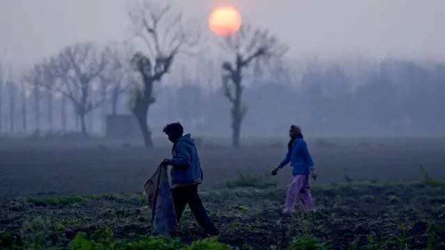 ਪੰਜਾਬ ਦੀ ਸਨਤ ਅਤੇ ਖੇਤੀ ਦੋਵੇਂ ਪਰਵਾਸੀ ਕਾਮਿਆਂ ਉੱਤੇ ਨਿਰਭਰ ਹਨ