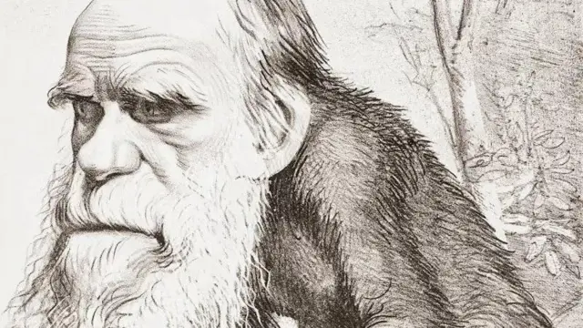 டார்வின், குரங்கு, மனிதன், குரங்கு மனிதன், பரிணாம வளர்ச்சி