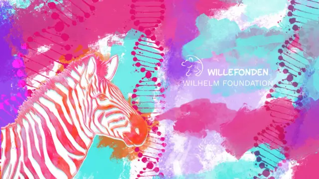 విల్హెమ్ ఫౌండేషన్