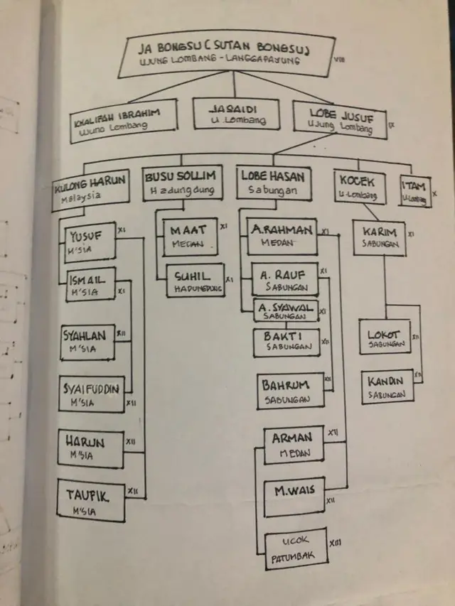 Salasilah keluarga Saifuddin Nasution