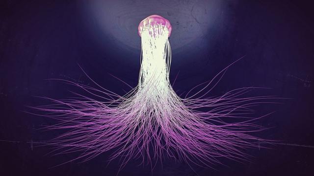 Клетки микроглии напоминают морских обитателей со щупальцами, но на самом деле стоят на страже нашего мозга