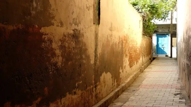 पाकिस्तानी वाली गली, गौतमपुरी, आकलपुर जागीर, दादरी, गौत्तमबुद्धनगर, उत्तर प्रदेश