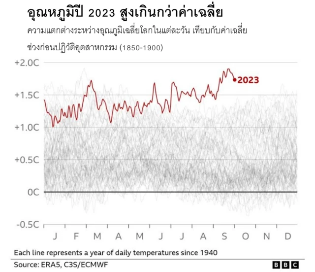 average temperature daily