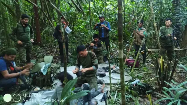 अमेजन जंगल