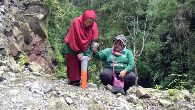 Perempuan, ibu rumah tangga, penjaga hutan, Aceh