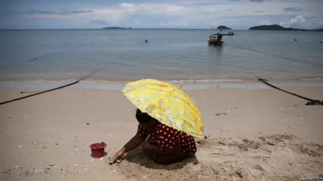 คนเก็บหอย