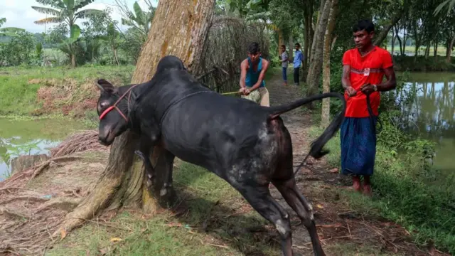 கர்நாடகா அரசு