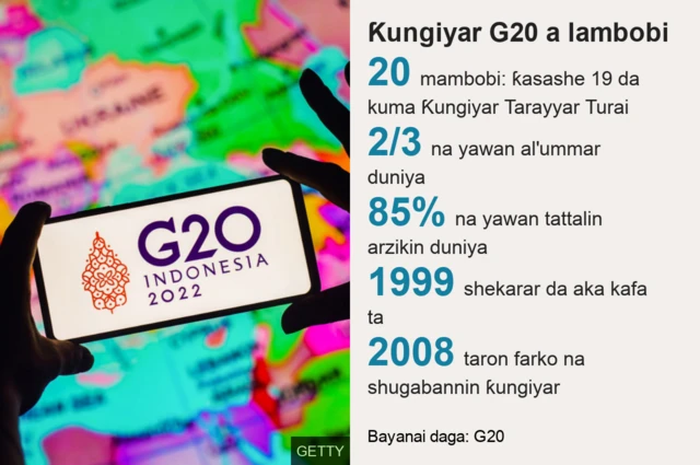 G20 a lambobi