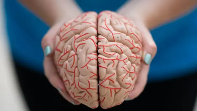 La maladie de Parkinson est une maladie neurologique chronique, qui affecte le système nerveux.