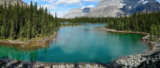 "Сады и парки"