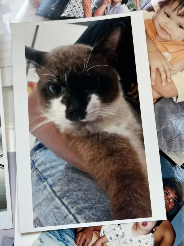 โบเรียกน้องสาวว่า "ทาสแมวใจบุญ" เพราะนอกจากเธอจะช่วยเหลือแมวจรจัดและสุนัขจรจัดมาแล้ว 100 ตัว