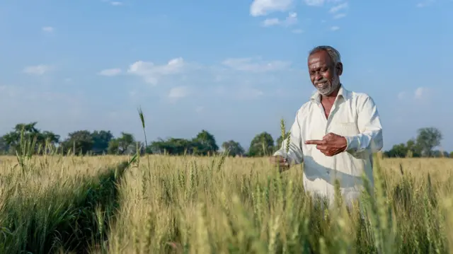 प्रातिनिधिक फोटो