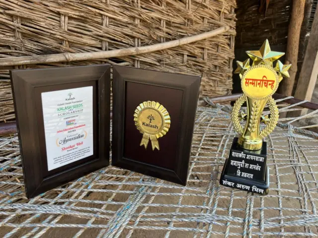 शंकरला फेलोशिपमध्ये पहिल्या नऊ महिन्यांसाठी साधारण 71 हजार डॉलर्स (70–75 लाख रुपये) इतकं फंडिंग मिळणार आहे. 