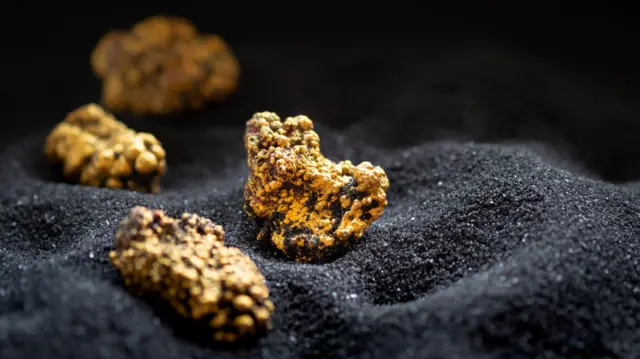 திருவண்ணாமலையில் நிலத்துக்கு அடியில் தங்கம் இருக்கிறதா? உண்மை என்ன?