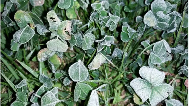 이른 '가을 한파'가 전국을 덮친 18일 경기도 수원에 첫 서리가 관측됐다. (기상청 제공)