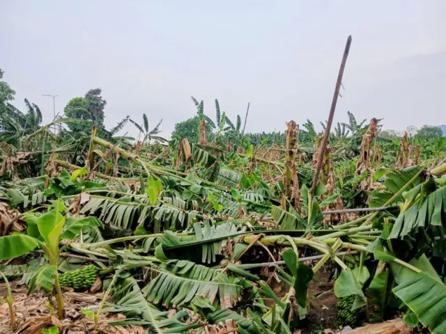 ఎండాకాలం, వర్షాలు, పంటనష్టం, పిడుగులు
