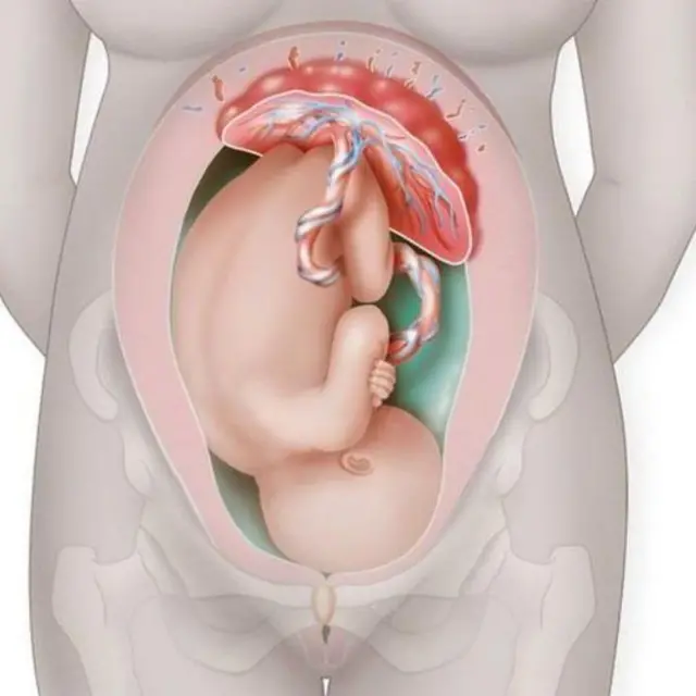 आईच्या पोटातलं बाळ 