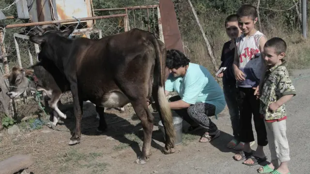 Деревня Дадиванк