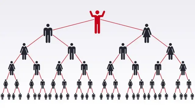 Chain of Transmission