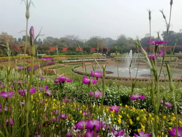 ਰਾਸ਼ਟਰਪਤੀ ਭਵਨ ਦੇ ਅੰਦਰ ਬਣਿਆ ਮੁਗਲ ਗਾਰਡਨ