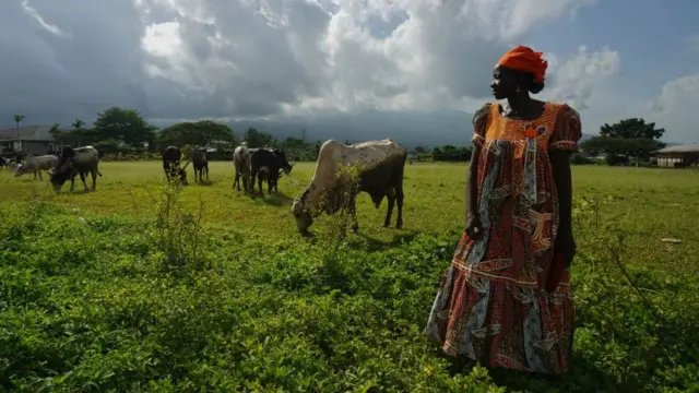 कैमरून का गांव